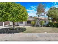 Charming single-story home featuring mature trees, a well-maintained lawn, and desert landscaping at 3007 N 84Th Pl, Scottsdale, AZ 85251