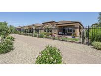 Beautiful backyard featuring desert landscaping, black metal fencing, and a covered patio area at 699 E Watermelon Ln, Queen Creek, AZ 85140