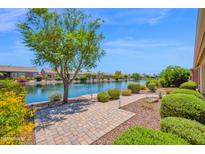 Serene backyard featuring a stone patio, lush landscaping, and a picturesque lake view on a sunny day at 42485 W Abbey Rd, Maricopa, AZ 85138