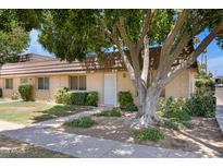 Charming single-story home featuring a well-manicured lawn and mature shade trees at 1631 E Newport Dr, Tempe, AZ 85282