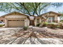 Charming single-story home featuring a large tree in the front yard at 1721 W Kingbird Dr, Chandler, AZ 85286