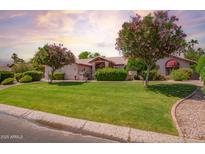 Expansive front yard featuring lush green grass and mature flowering trees at 7722 W Michigan Ave, Glendale, AZ 85308