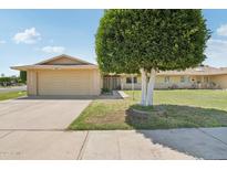 Charming single-story home with a well-manicured lawn and mature tree, offering great curb appeal at 9802 N Balboa Dr, Sun City, AZ 85351