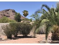 Landscaped backyard featuring desert foliage, rock, and brickwork against a mountain backdrop at 1502 E Estrid Ave, Phoenix, AZ 85022