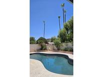 Private backyard oasis with a sparkling pool, white fencing, and mature palm trees at 1743 W Acoma Dr, Phoenix, AZ 85023