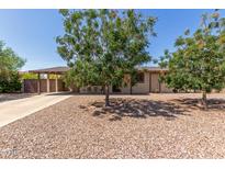 Charming single-story home with mature trees, low-maintenance rock landscaping, and a welcoming facade at 538 E Estevan Ave, Apache Junction, AZ 85119