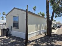Exterior view of the mobile home, surrounded by palm trees and natural desert landscaping at 7920 W Glendale Ave # 39, Glendale, AZ 85303