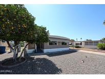 Inviting single-story home featuring a well-maintained yard and mature tree at 2650 W Union Hills Dr # 169, Phoenix, AZ 85027