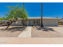 Charming single-story home featuring a well-maintained front yard with mature trees at 3447 E Dolphin Ave, Mesa, AZ 85204