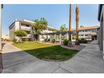Scenic courtyard view of the apartment buildings with lush landscaping and walking paths on a clear day at 1331 W Baseline Rd # 167, Mesa, AZ 85202