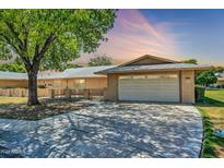 Charming single-story home featuring a two-car garage and mature tree in the front yard at 16842 N 103Rd Dr, Sun City, AZ 85351