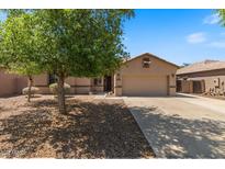 Inviting single-story home with a well-maintained lawn, mature shade tree, and an attached two-car garage at 1321 E Monteleone St, San Tan Valley, AZ 85140