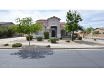 Charming single-story home showcasing a low-maintenance desert landscape, mature trees, and inviting entryway at 20258 S 196Th St, Queen Creek, AZ 85142