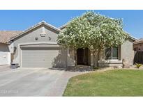 Charming single-story home with a well-manicured lawn and a beautiful, flowering tree in the front yard at 29839 N Little Leaf Dr, San Tan Valley, AZ 85143