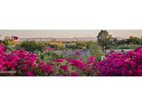 Scenic shot showing pink bougainvillea and desert landscaping in the front of the property with mountain views at 3800 E Lincoln Dr # 31, Phoenix, AZ 85018
