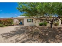 Charming single-story home featuring a covered carport, well-maintained landscaping, and a welcoming front entrance at 3118 W Aster Dr, Phoenix, AZ 85029