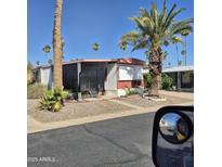 Charming single-story home featuring mature palm trees, a covered patio, and low-maintenance gravel landscaping at 303 S Recker Rd # 98, Mesa, AZ 85206