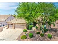 Charming single-story home showcasing a well-manicured lawn, mature tree, and a three-car garage at 694 W Beechnut Dr, Chandler, AZ 85248