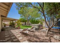 Lush backyard with lounge chairs, a patio, a manicured lawn and a trampoline for outdoor enjoyment at 5350 S River Dr, Tempe, AZ 85283