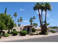 Charming single-story home featuring a well-maintained yard and mature palm trees at 10190 N 106Th E St, Scottsdale, AZ 85258