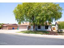 Charming single-story home featuring a large tree, well-maintained lawn, and inviting curb appeal at 2338 E Javelina Ave, Mesa, AZ 85204