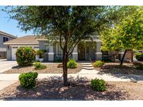 Charming home exterior with neat landscaping, mature trees, and a welcoming walkway leading to the front porch at 18459 E Ranch Rd, Queen Creek, AZ 85142