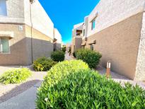 Landscaped community walkway features lush green bushes and colorful flowers, under a bright blue sky at 4554 E Paradise Village N Pkwy # 133, Phoenix, AZ 85032