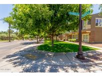Street corner of a home exterior showing professionally landscaped lawn, sidewalks, and tall shade trees at 905 S Osborn Ln, Gilbert, AZ 85296
