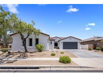 Inviting single-story home featuring a well-manicured front yard and a spacious driveway leading to a two-car garage at 1720 W Aloe Vera Dr, Phoenix, AZ 85085