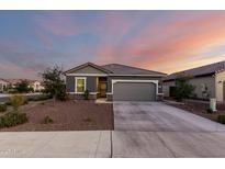 Charming single-Gathering home with a gray exterior, desert landscaping, and a spacious two-car driveway at 19531 W Palo Verde Dr, Litchfield Park, AZ 85340