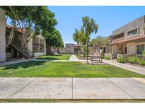 Well-maintained community grounds with lush green lawns, mature trees, and inviting walkways at 520 N Stapley Dr # 134, Mesa, AZ 85203