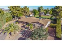 Stunning single-story home with a mix of mature trees, palms and desert landscaping at 11143 E Vallejo St, Chandler, AZ 85248