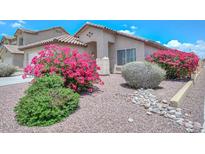 Charming home featuring beautiful desert landscaping and vibrant bougainvillea bushes at 1527 S 219Th Ln, Buckeye, AZ 85326