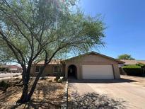 Charming single-story home with a well-manicured lawn and mature desert landscaping at 9402 N 48Th Dr, Glendale, AZ 85302