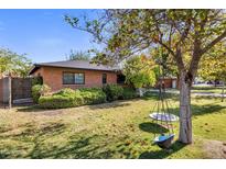 Landscaped front yard with mature tree and a charming tire swing at 1825 E Palo Verde Dr, Phoenix, AZ 85016