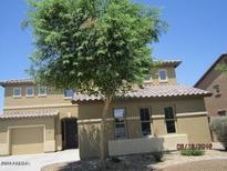 Attractive home exterior featuring neutral colors and a well-maintained front yard with a mature tree at 9018 W Superior Ave, Tolleson, AZ 85353
