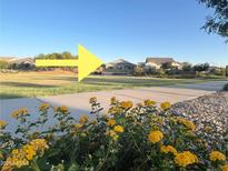 View of single-Gathering homes near the park with colorful flowers in a beautiful Primary-planned community at 20952 E Via Del Sol --, Queen Creek, AZ 85142