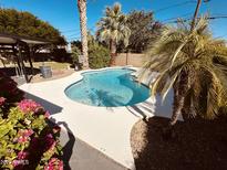 Backyard pool featuring cool blue water, ample patio space, and lovely mature landscaping at 3109 E Cholla St, Phoenix, AZ 85028