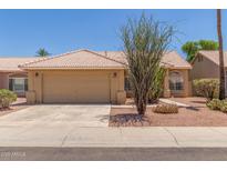 Charming single-story home features a desert landscape, a two-car garage, and a tiled roof at 1371 W Gary Dr, Chandler, AZ 85224