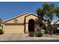Charming single-story home featuring a well-maintained front yard, neutral stucco, and attached two-car garage at 17293 N Ponca Way, Surprise, AZ 85374