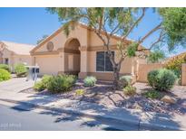 Charming single-story home featuring well-maintained landscaping, a welcoming entrance, and a two-car garage at 17293 N Ponca Way, Surprise, AZ 85374