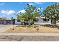 Charming single-story home with a well-maintained front yard and decorative trees under a bright, sunny sky at 7137 N 22Nd Dr, Phoenix, AZ 85021
