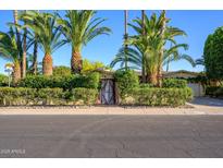 Charming home exterior featuring mature palm trees, lush greenery, and a unique wood gate entrance at 6255 E Crocus Dr, Scottsdale, AZ 85254