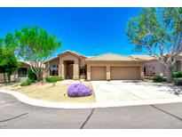 Lovely home exterior features a well-maintained yard with mature trees and a convenient two-car garage at 9038 E Calle De Valle Dr, Scottsdale, AZ 85255