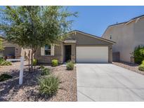 Charming single-Gathering home showcasing a well-maintained yard and a two-car garage at 297 W Nikita Dr, San Tan Valley, AZ 85140