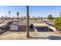 Cozy one-story home with brick exterior and carport, enhanced by mature palm trees in a desert landscape at 3823 W Rose Ln, Phoenix, AZ 85019