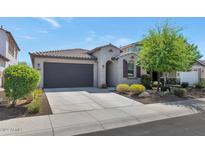 Charming single-story home with a tile roof, neutral stucco and a dark garage door at 22353 N 99Th Ln, Peoria, AZ 85383