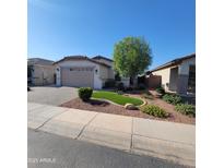 Charming home featuring well-manicured landscaping, green turf, and a spacious two-car garage at 1352 W Spine Tree Ave, Queen Creek, AZ 85140
