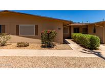Charming home featuring a well-maintained walkway and beautiful desert landscaping at 19685 N Star Ridge Dr, Sun City West, AZ 85375