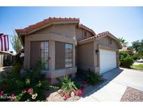 Charming single-story home with a well-maintained lawn and desert landscaping in front at 4527 E Amberwood Dr, Phoenix, AZ 85048